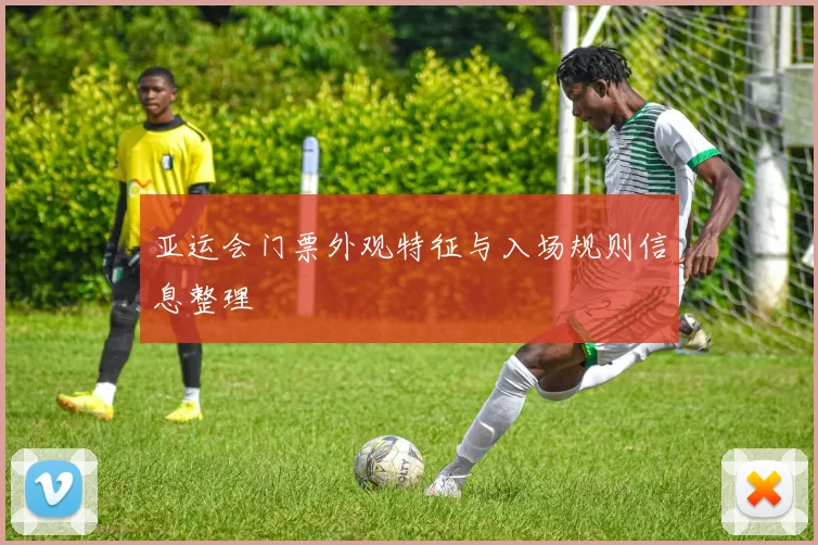 亚运会门票外观特征与入场规则信息整理