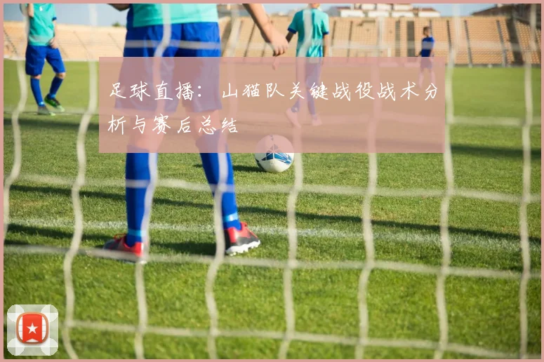 足球直播：山猫队关键战役战术分析与赛后总结