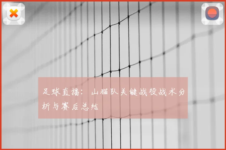 足球直播：山猫队关键战役战术分析与赛后总结