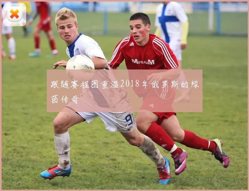跟随赛程图重温2018年俄罗斯的绿茵传奇