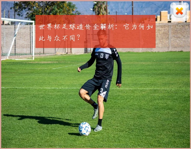 世界杯足球造价全解析:它为何如此与众不同?