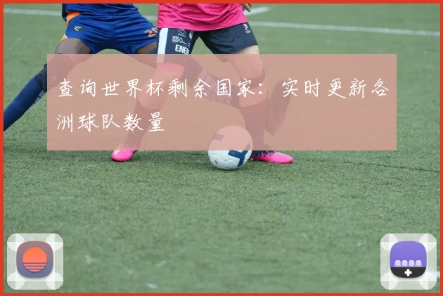 查询世界杯剩余国家：实时更新各洲球队数量