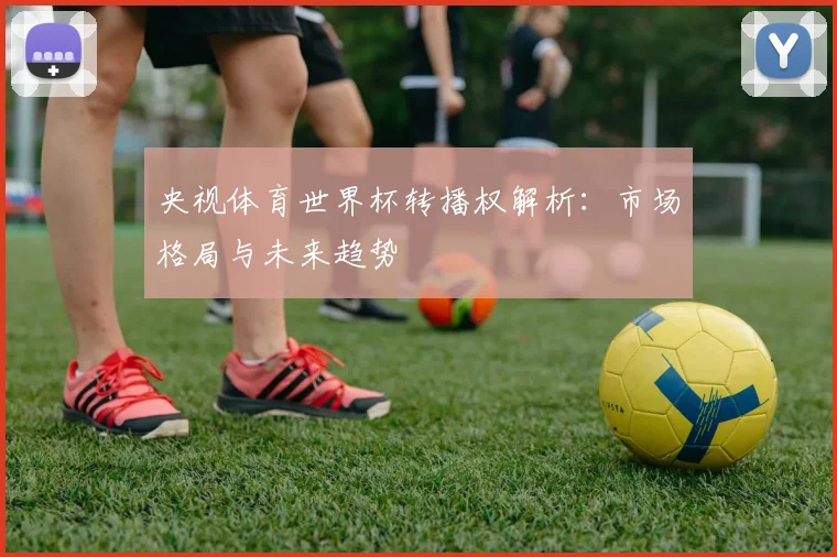 央视体育世界杯转播权解析：市场格局与未来趋势