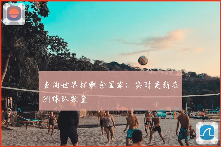 查询世界杯剩余国家：实时更新各洲球队数量