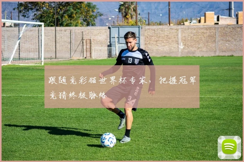 跟随竞彩猫世界杯专家，把握冠军竞猜终极脉络