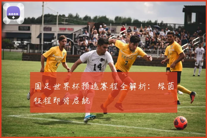 国足世界杯预选赛程全解析:绿茵征程即将启航